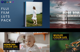 Envato Elements Videohive - LUTs V.1