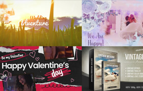 Envato Elements Videohive - Wedding Valentines Day v.1