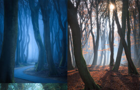 Udemy - 4 Seasons In The Dark Forest - Landscape Photography Editing