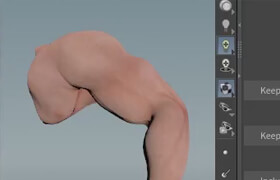 FlippedNormals - Mastering Houdini Muscles A Studio Level VFX Workflow\