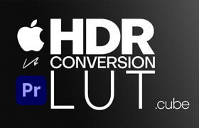 Gumroad - iPhone HDR Conversion Input LUT for Adobe Premiere Pro