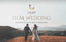 Motionvfx - mLUT Film Wedding - 25 Professional LUT Pack