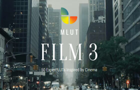 MotionVFX - mLUT Film 3